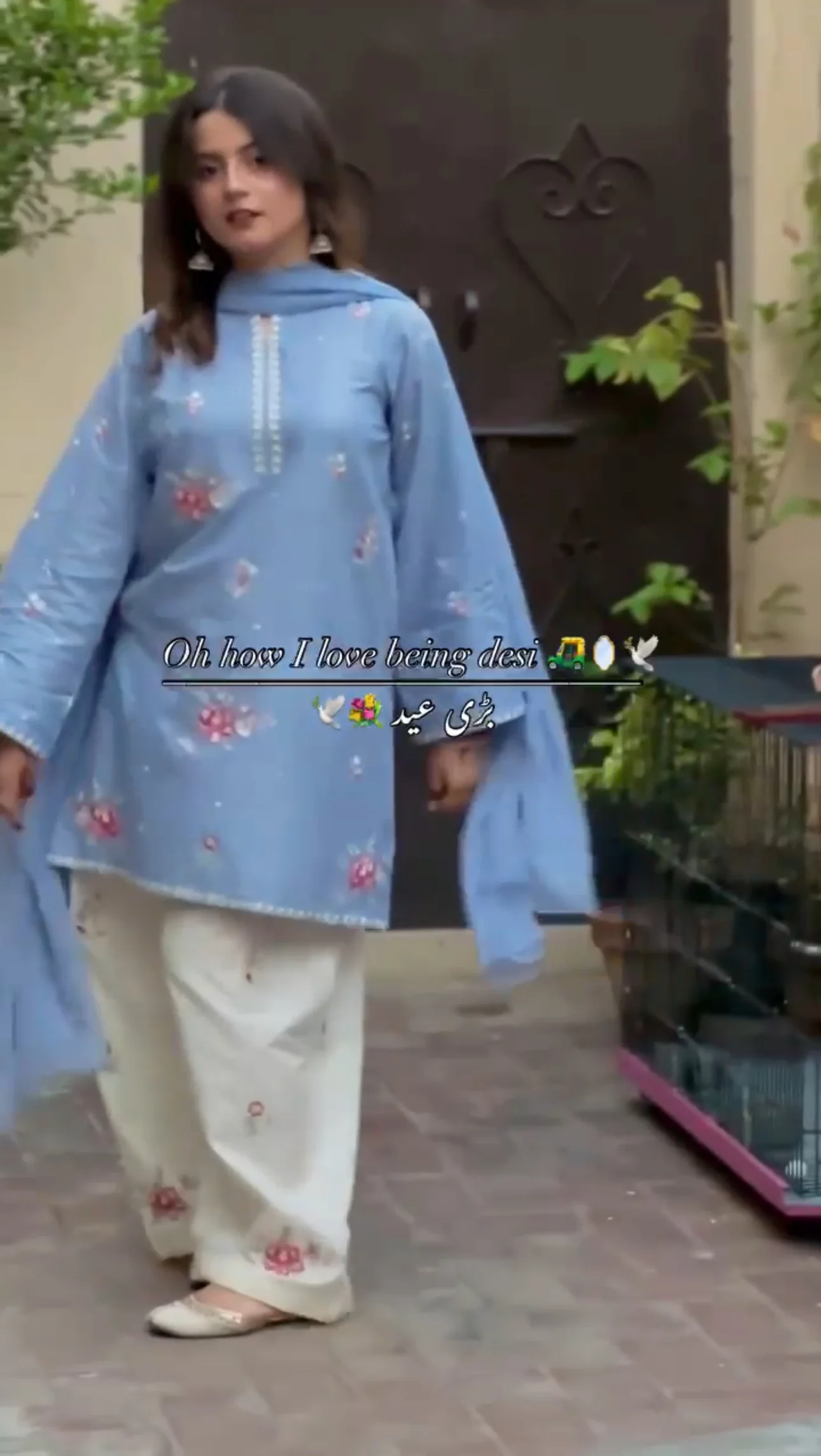 Duppta Farsi suit - Image 2
